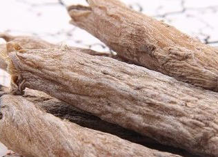 茉莉根麻醉有多厲害？中藥茉莉根麻醉的優(yōu)點