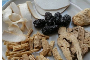 中藥方劑白術(shù)茯苓散的配方組成及白術(shù)茯苓散的功效與用法!