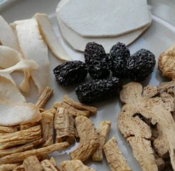 中藥方劑白術(shù)茯苓散的配