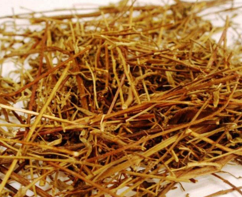 中藥方劑香薷飲的配方與組成及其香薷飲的功效主治!