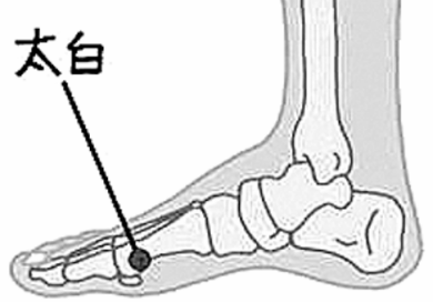 中醫(yī)教你按摩太白穴如何止瀉補(bǔ)肺? 太白穴位置