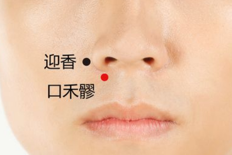 口禾髎穴的功效作用以及按摩口禾髎穴治療面神經(jīng)痙攣。 口禾髎穴