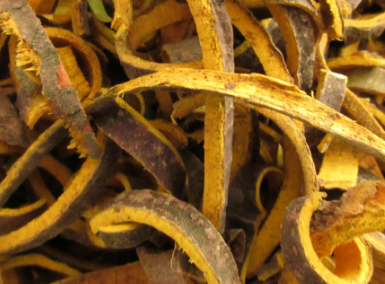 中藥方劑地黃大補(bǔ)丸的配方組成及功效與作用! 中藥黃柏