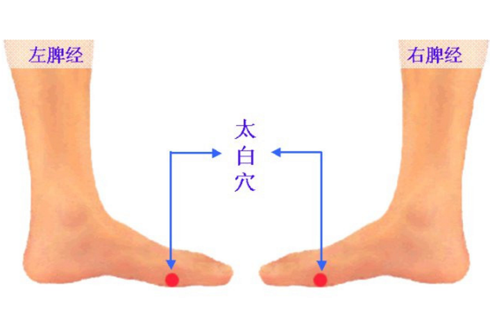 每天按摩太白穴能補(bǔ)肺健脾,但你知道它的準(zhǔn)確位置在哪嗎? 太白穴的功效與作用