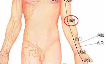 曲澤穴的功效與作用及其曲澤穴的準(zhǔn)確位置圖! 曲澤穴的功效與作用