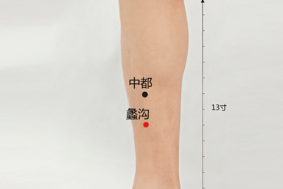 蠡溝穴位置