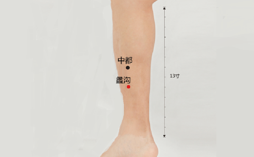 生活小妙招:中醫(yī)教你巧用蠡溝穴治療婦科炎癥! 蠡溝穴的圖片