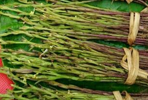 從中醫(yī)角度了解獨腳柑的功效作用以及生理習性! 獨腳柑