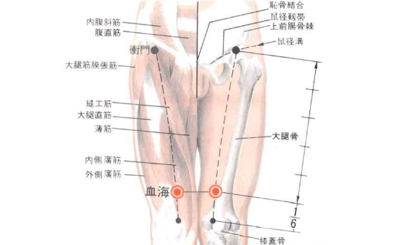 血海穴的準(zhǔn)確位置在哪?中醫(yī)教你按摩血海穴可治療痛經(jīng)! 血海穴的功效與作用
