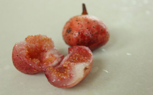 野地瓜作為一種藥用野果其經(jīng)濟價值與種植方法有哪些? 野地瓜的經(jīng)濟價值