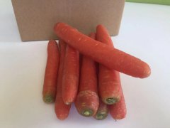 減肥都是餓出來的嗎?理想減肥飲食基本框架