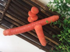 學(xué)會中藥的6種配伍關(guān)系,你也是半個中醫(yī)!