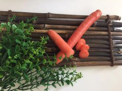 <b>真武湯的適用范圍</b>