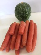 老人頸椎疼痛怎么辦？不