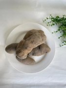 盤點(diǎn)黃泡果的3大養(yǎng)生功效,酸甜可口還可入藥!