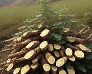 就算你在減肥,也一定要知道這些美食！